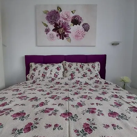 Ivy_zlatibor * Zlatibor