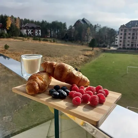 Ivy_zlatibor زلاتيبور