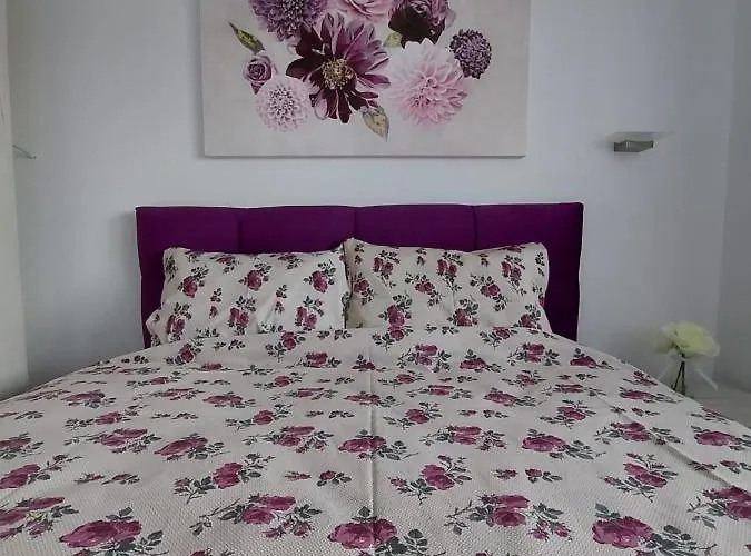 Ivy_zlatibor * Zlatibor