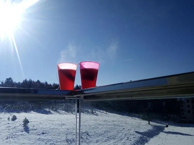 Ivy_zlatibor Apartment